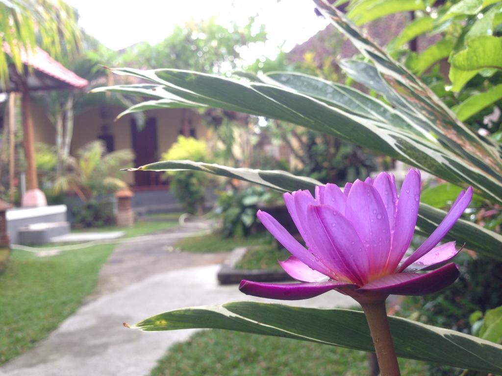 Dimuwa Ubud Room photo